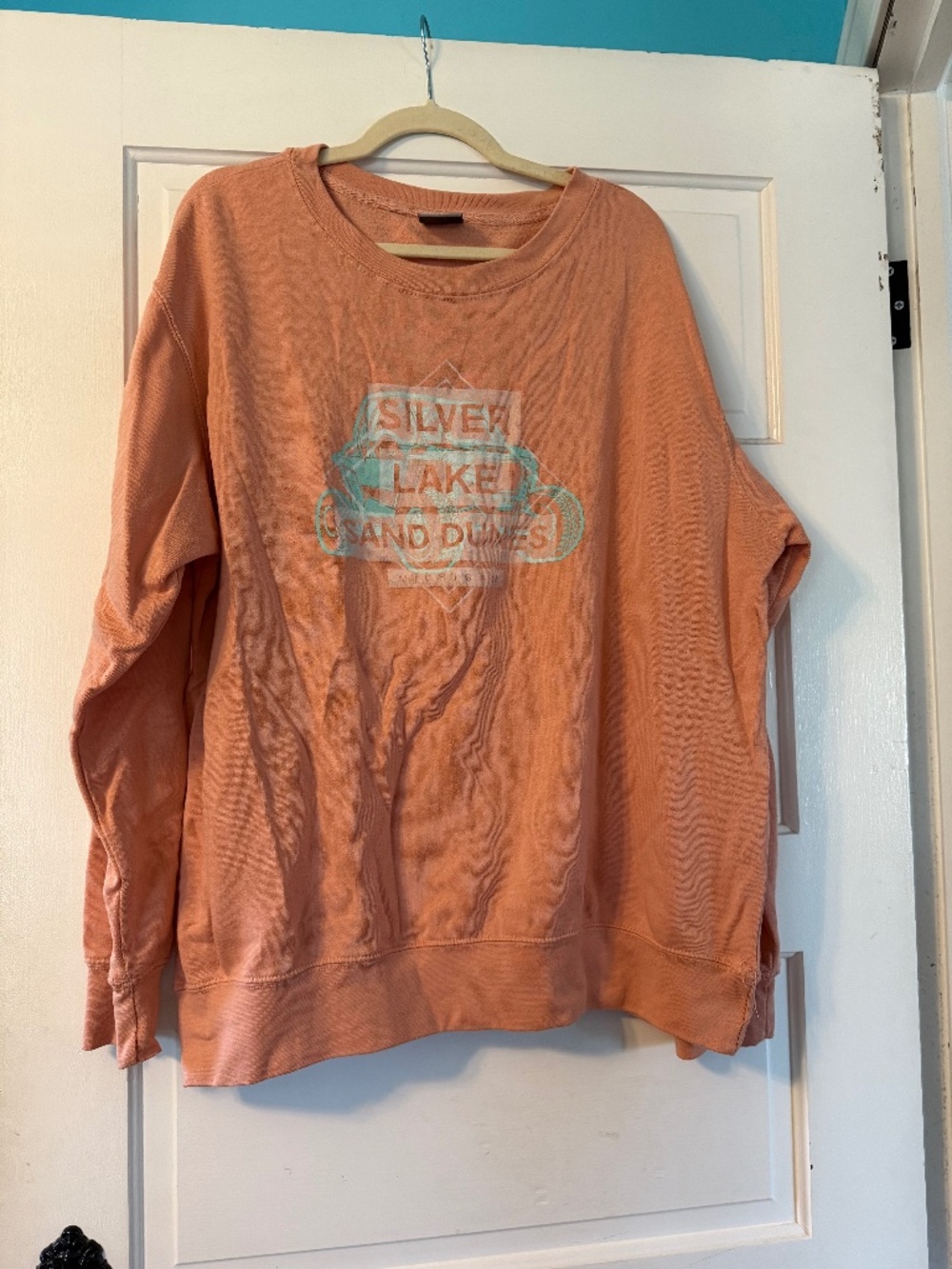 Pink Silver Lake Crew neck